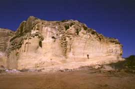 cant3.JPG (57801 bytes)